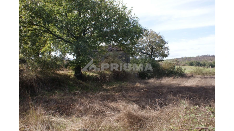 Terreno para Venda em Pero Viseu Foto 32