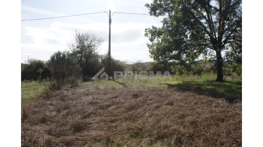 Terreno para Venda em Pero Viseu Foto 27
