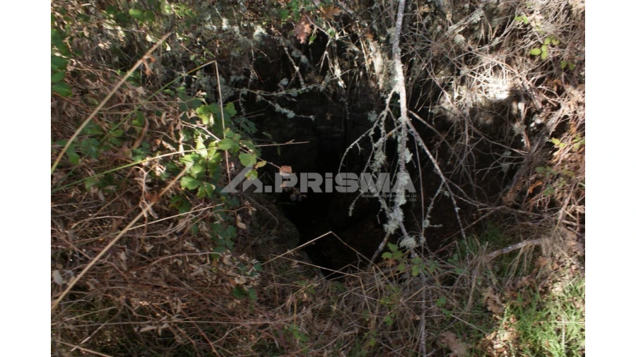 Terreno para Venda em Pero Viseu Foto 35