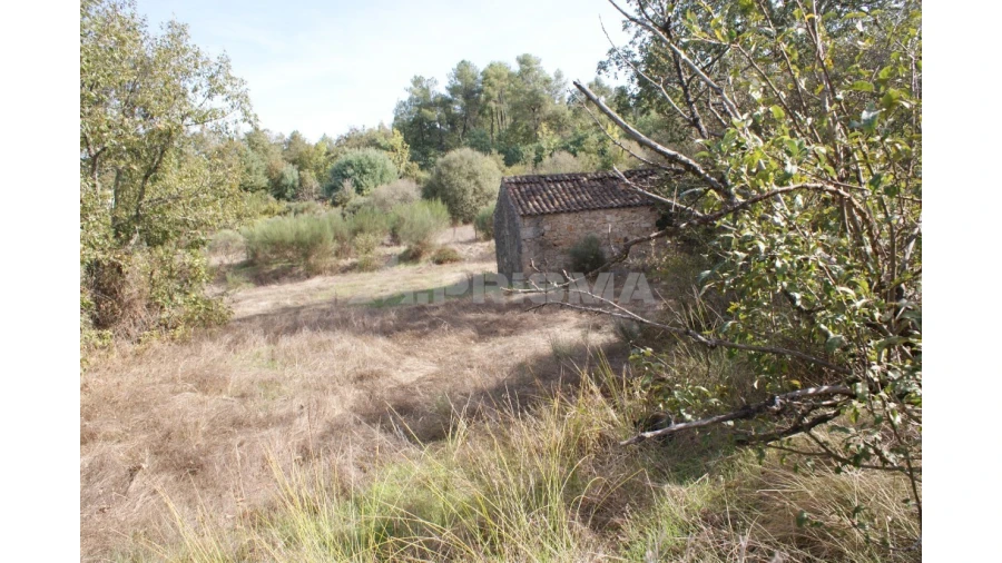 Terreno para Venda em Pero Viseu Foto 34