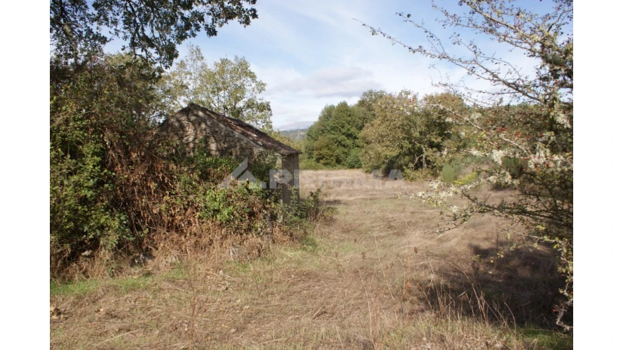 Terreno para Venda em Pero Viseu Foto 37