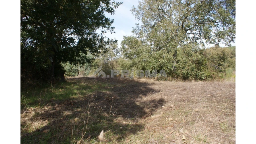 Terreno para Venda em Pero Viseu Foto 38