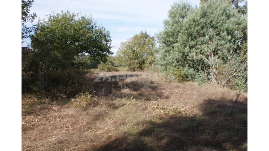 Terreno para Venda em Pero Viseu Foto 26