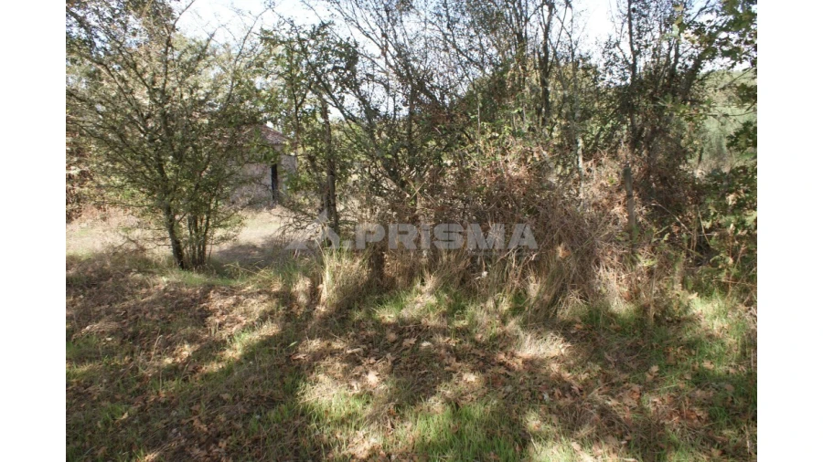 Terreno para Venda em Pero Viseu Foto 19