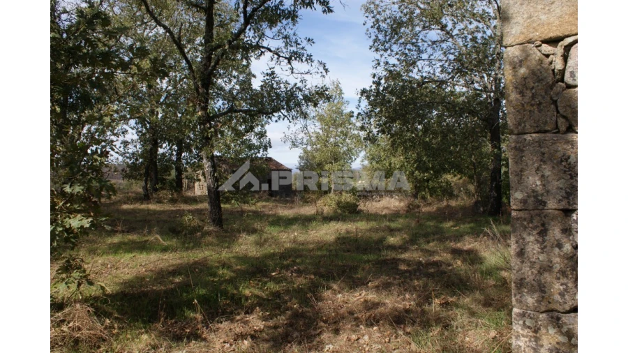 Terreno para Venda em Pero Viseu Foto 40