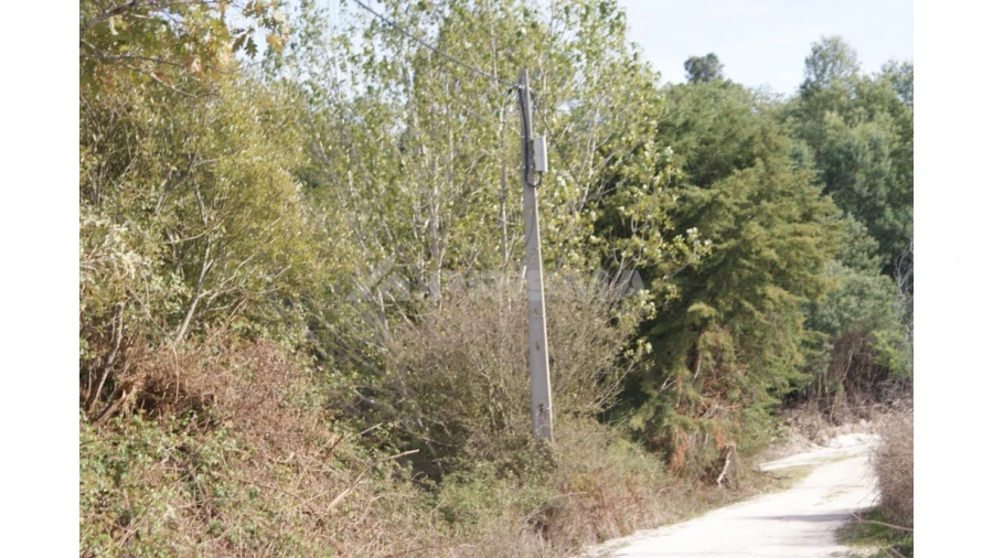 Terreno para Venda em Pero Viseu Foto 20