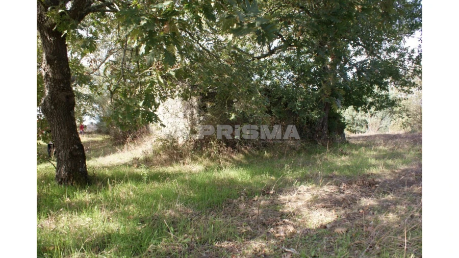 Terreno para Venda em Pero Viseu Foto 39