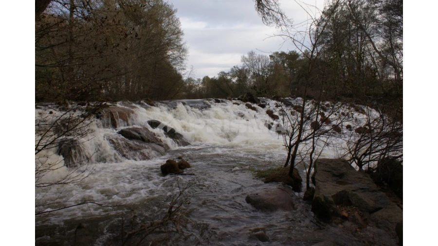 Terreno para Venda em Pero Viseu Foto 22