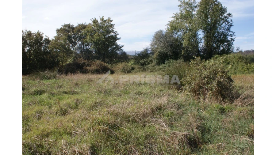 Terreno para Venda em Pero Viseu Foto 14