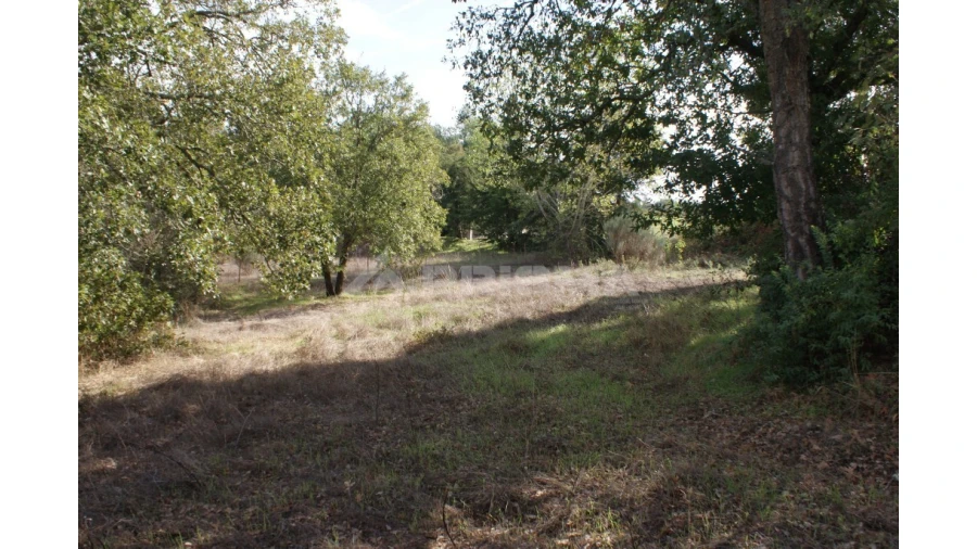 Terreno para Venda em Pero Viseu Foto 9