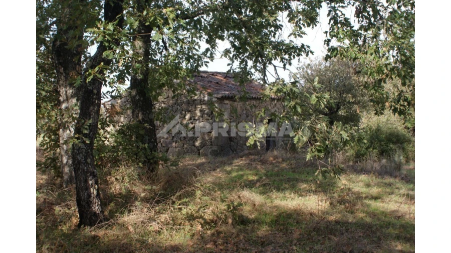 Terreno para Venda em Pero Viseu