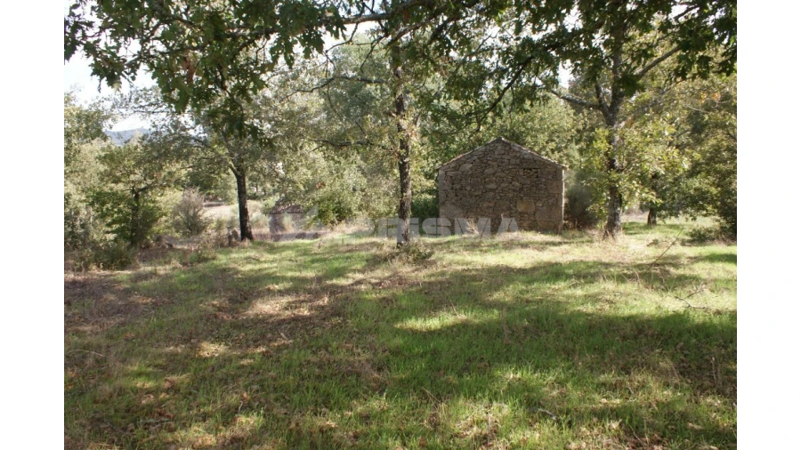 Terreno para Venda em Pero Viseu Foto 2