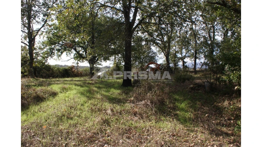 Terreno para Venda em Pero Viseu Foto 7