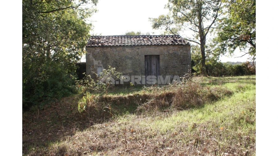 Terreno para Venda em Pero Viseu Foto 6