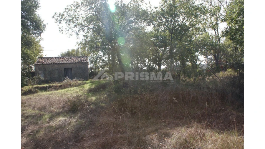 Terreno para Venda em Pero Viseu Foto 12
