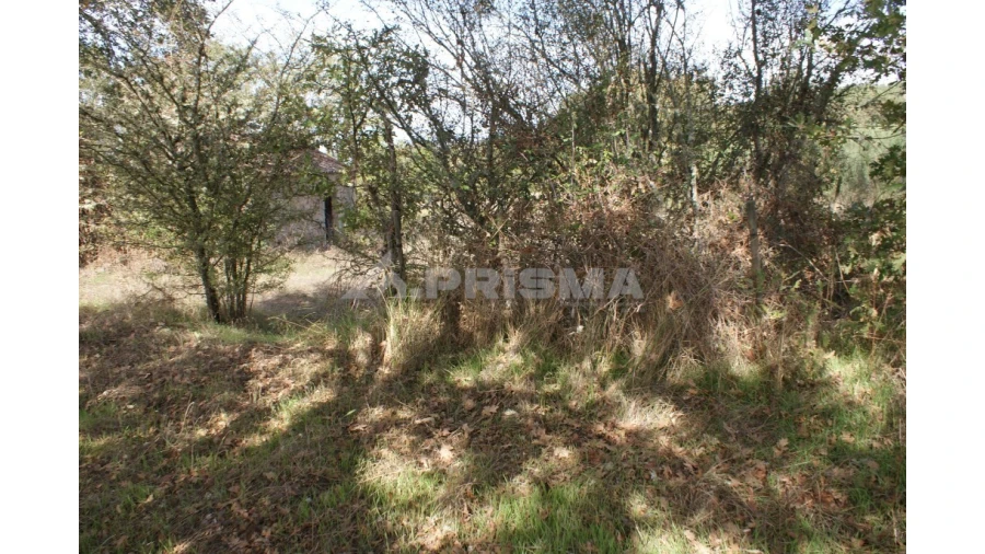 Terreno para Venda em Pero Viseu Foto 36