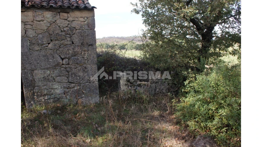 Terreno para Venda em Pero Viseu Foto 4