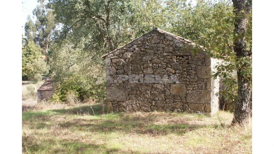 Terreno para Venda em Pero Viseu Foto 17