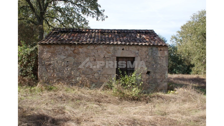 Terreno para Venda em Pero Viseu Foto 29