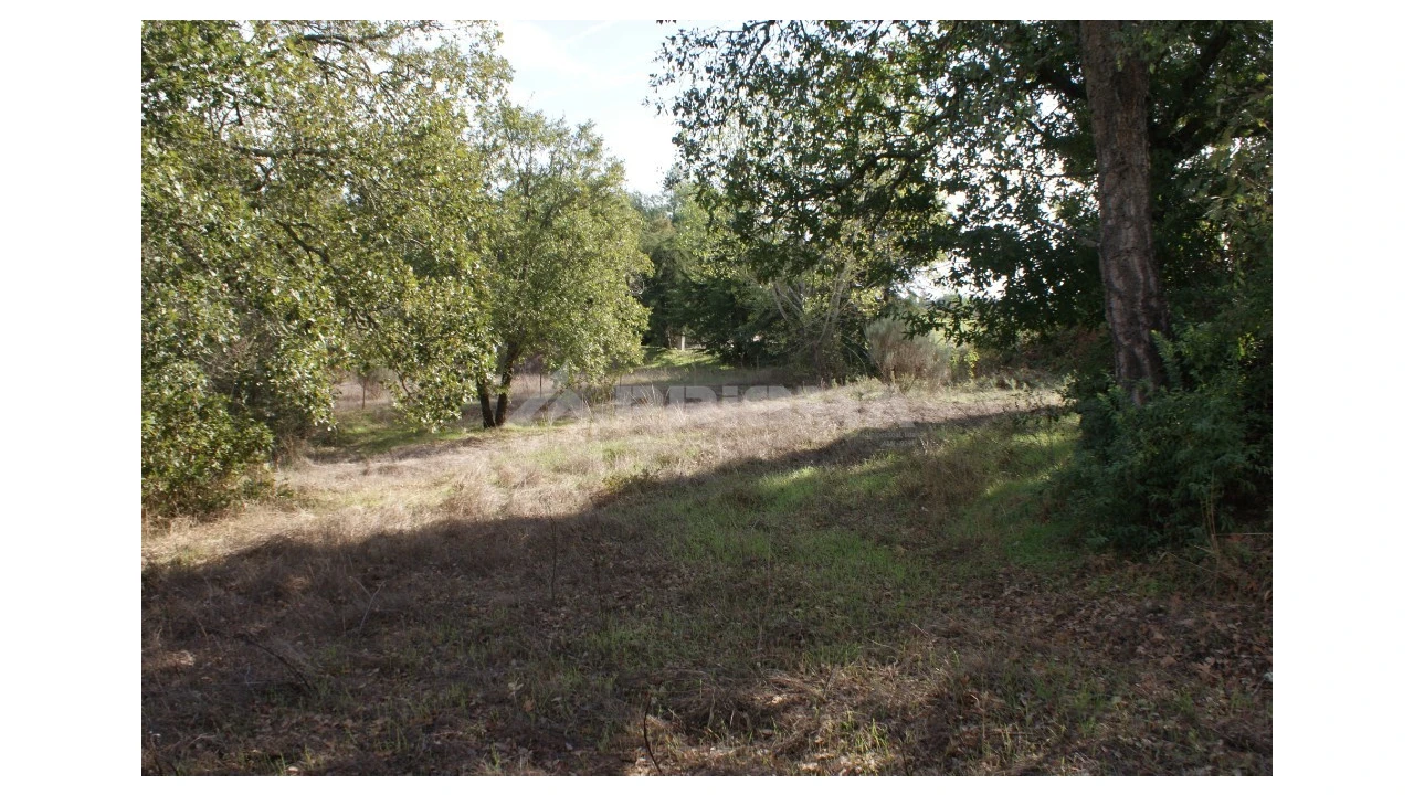 Terreno para Venda em Pero Viseu Foto 9