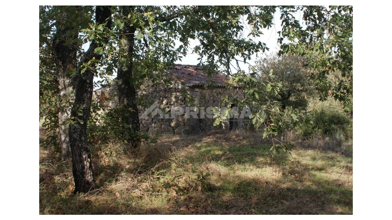 Terreno para Venda em Pero Viseu Foto 1