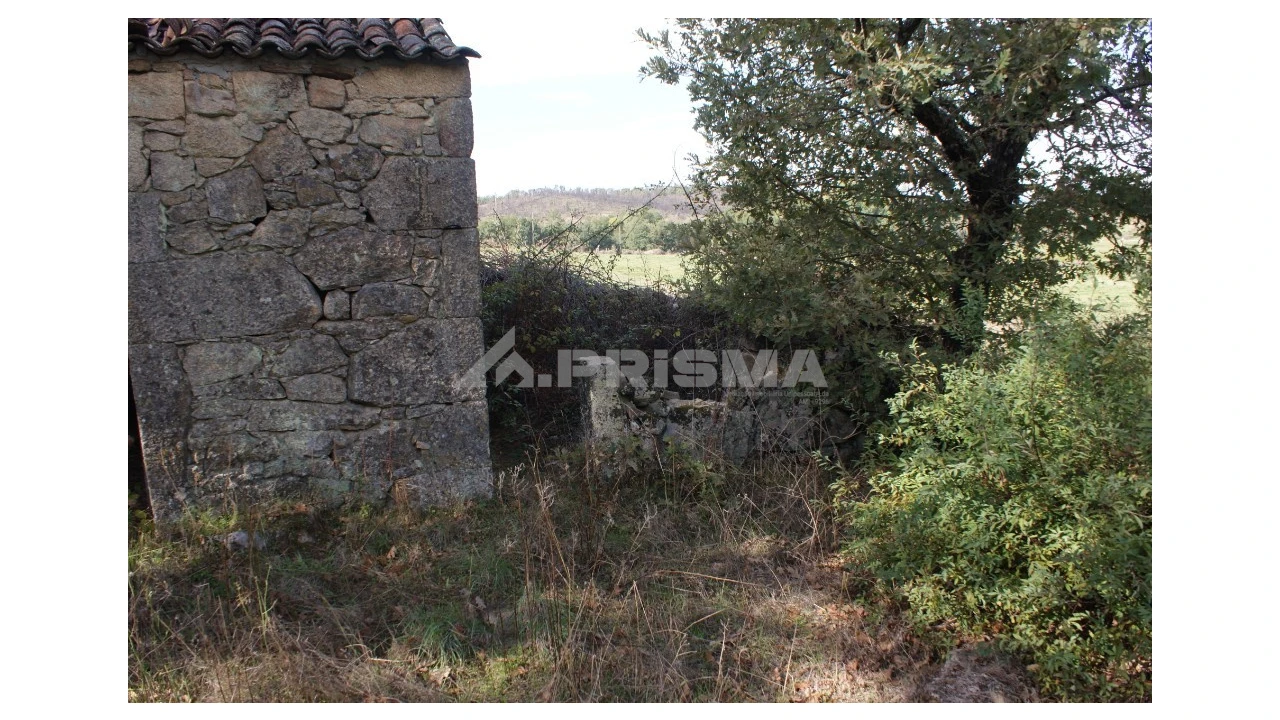Terreno para Venda em Pero Viseu Foto 23