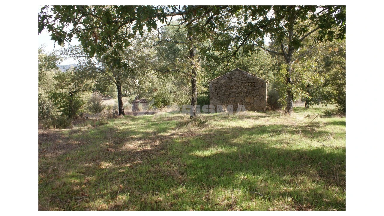 Terreno para Venda em Pero Viseu Foto 2