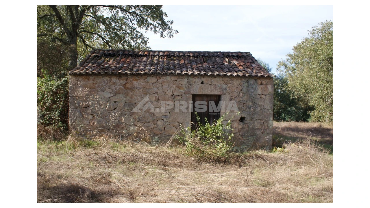 Terreno para Venda em Pero Viseu Foto 11
