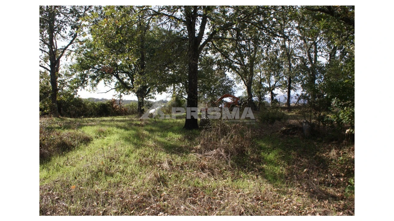 Terreno para Venda em Pero Viseu Foto 7