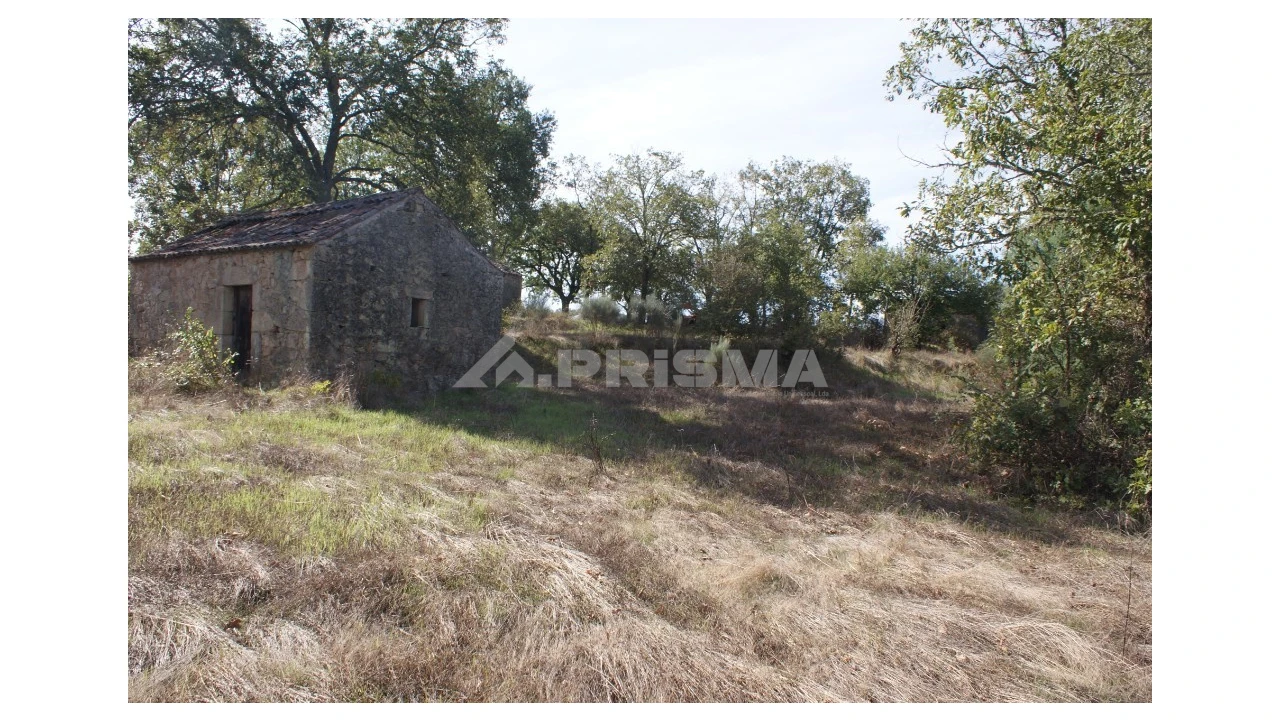 Terreno para Venda em Pero Viseu Foto 8