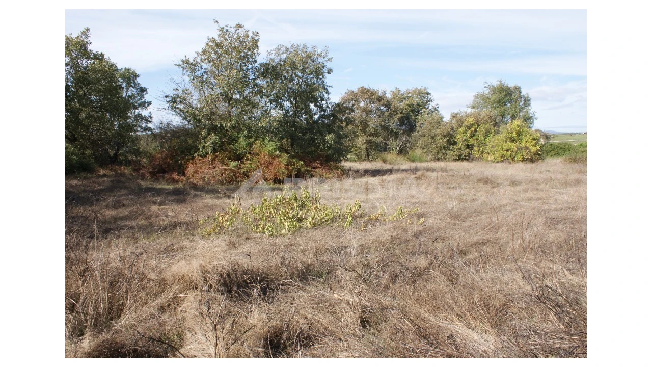Terreno para Venda em Pero Viseu Foto 15