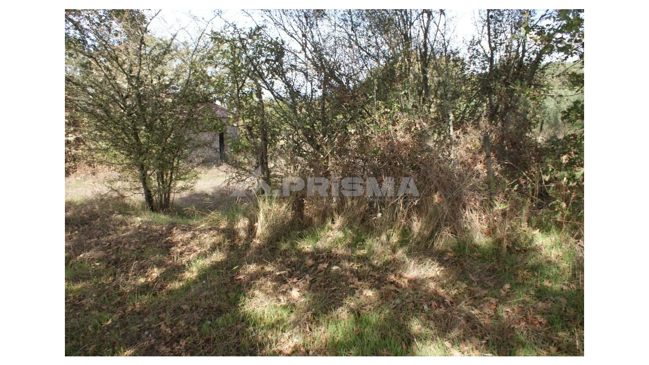 Terreno para Venda em Pero Viseu Foto 36