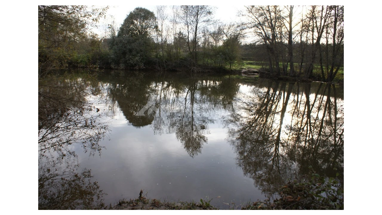 Terreno para Venda em Pero Viseu Foto 21