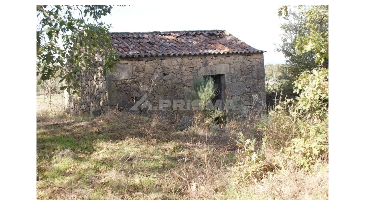 Terreno para Venda em Pero Viseu Foto 3