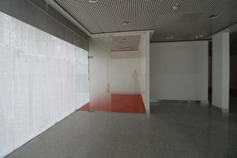 Loja para Venda em Viatodos, Grimancelos, Minhotães, Monte Fralães Foto 5