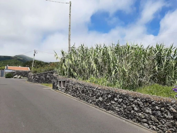 Terreno para Venda em Agua de Pau Foto 3