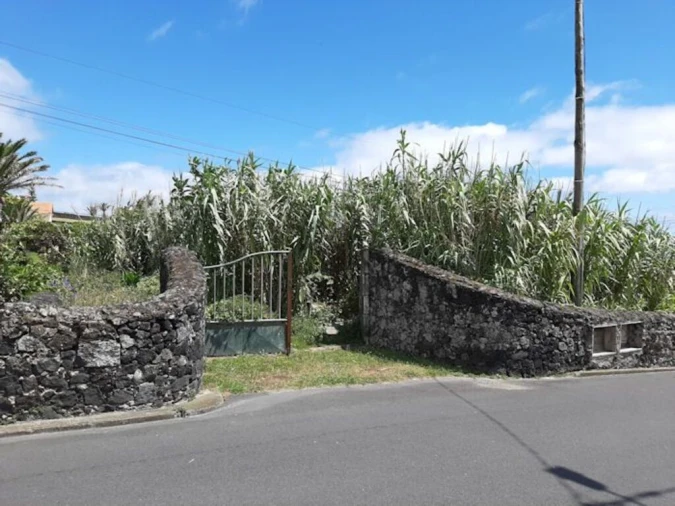 Terreno para Venda em Agua de Pau Foto 2