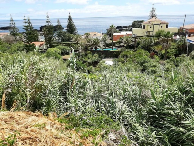 Terreno para Venda em Agua de Pau Foto 8