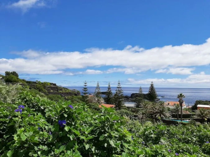 Terreno para Venda em Agua de Pau Foto 5