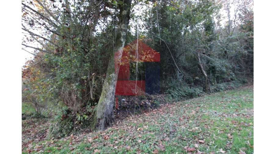 Terreno para Venda em Marrancos e Arcozelo Foto 2
