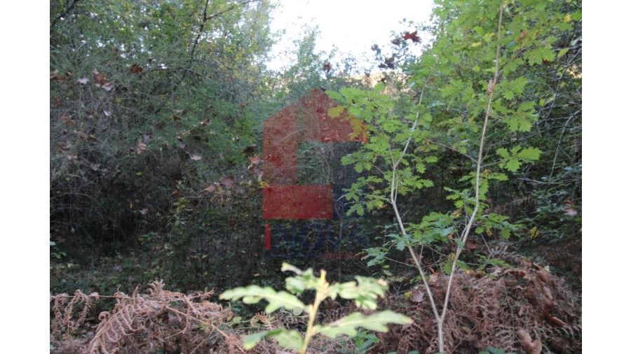 Terreno para Venda em Marrancos e Arcozelo Foto 6