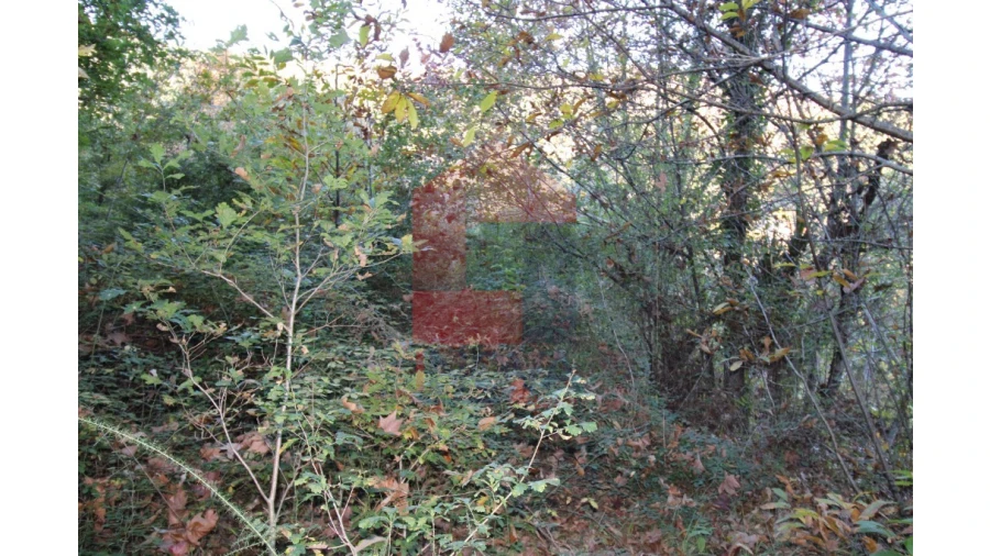 Terreno para Venda em Marrancos e Arcozelo Foto 5