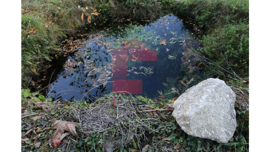 Terreno para Venda em Marrancos e Arcozelo Foto 8