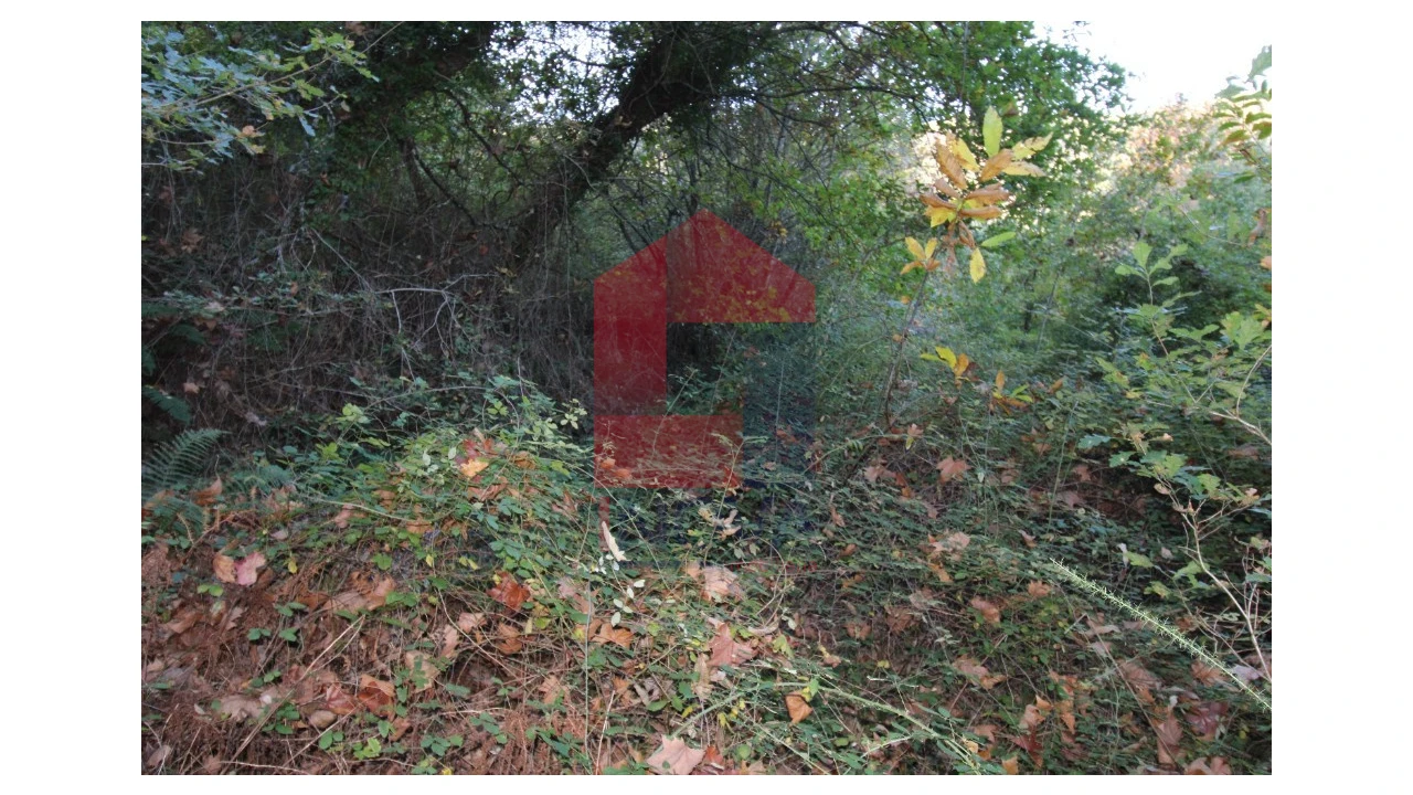 Terreno para Venda em Marrancos e Arcozelo Foto 4