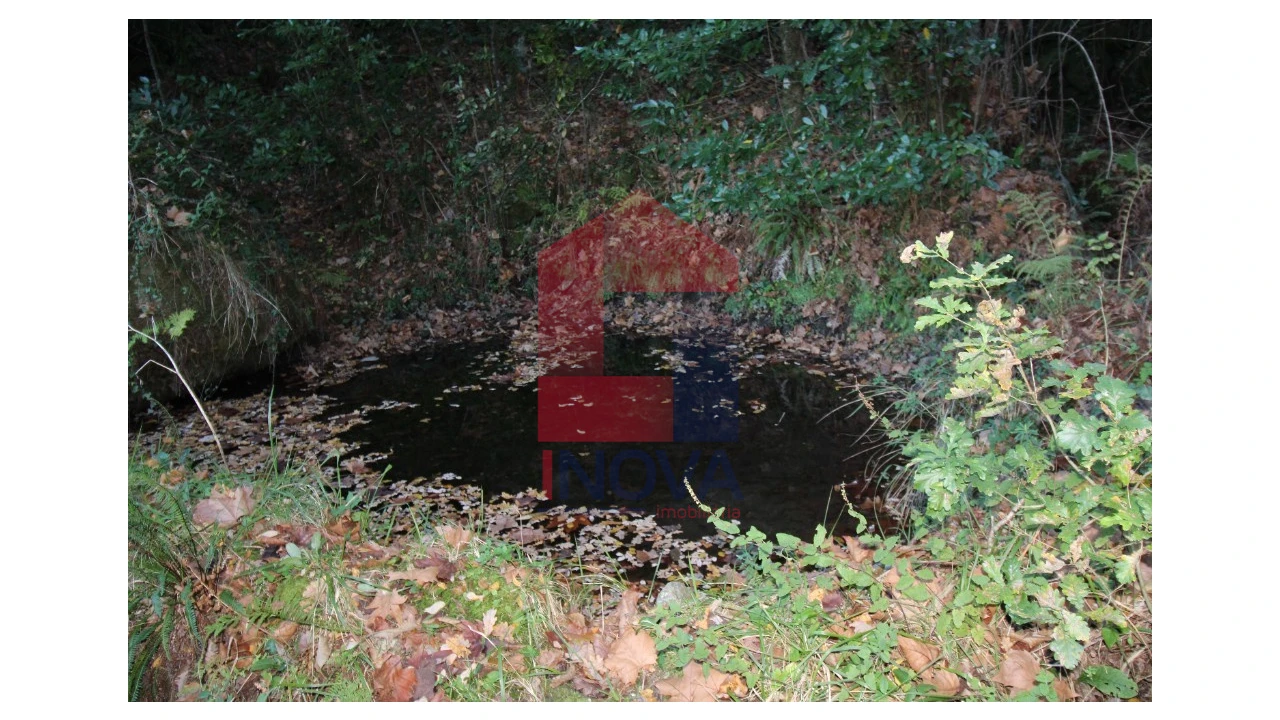 Terreno para Venda em Marrancos e Arcozelo Foto 3