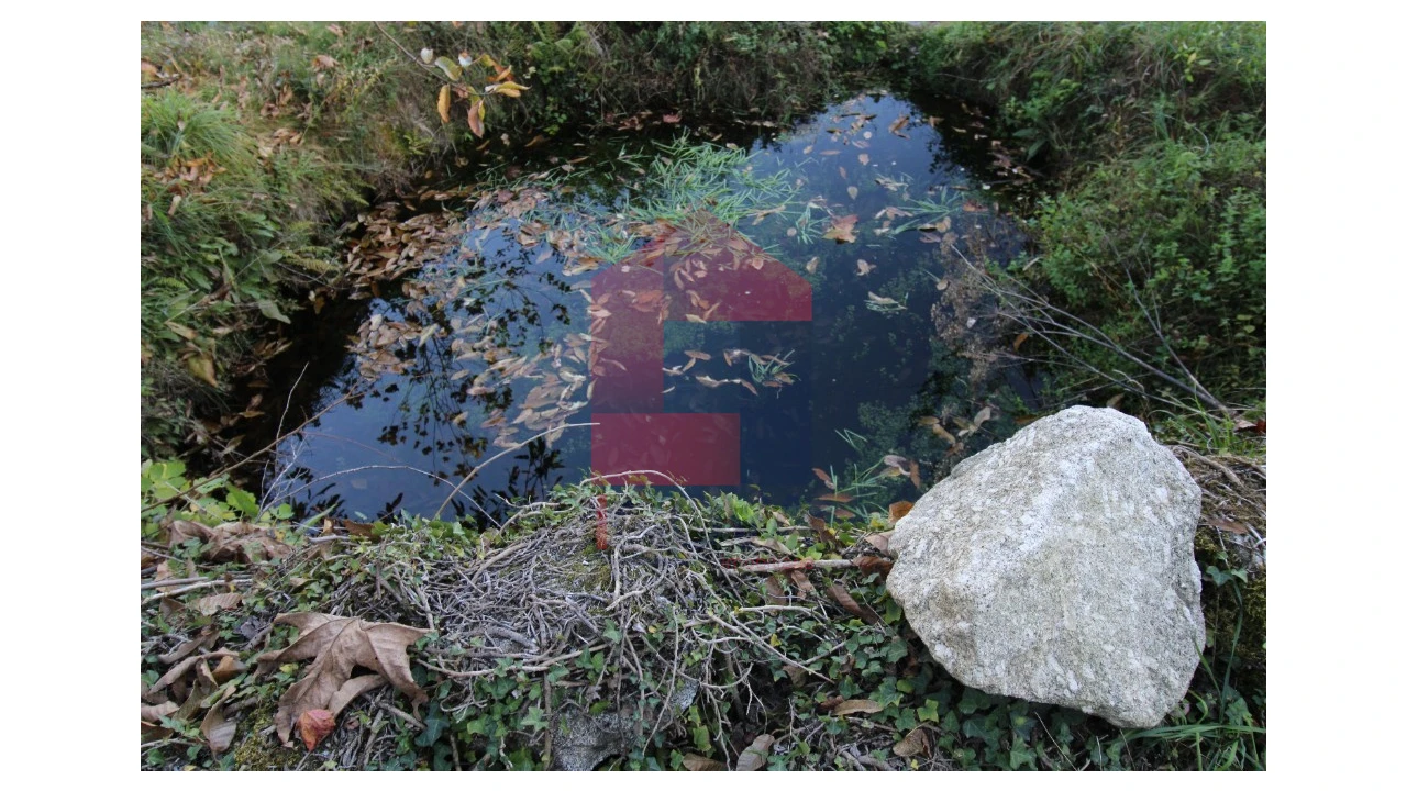 Terreno para Venda em Marrancos e Arcozelo Foto 8