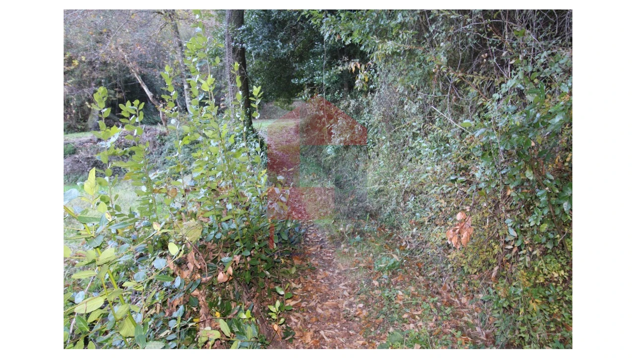 Terreno para Venda em Marrancos e Arcozelo Foto 10