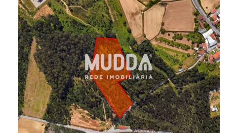 Terreno para Venda em Ovar, São João, Arada e São Vicente de Pereira Jusã