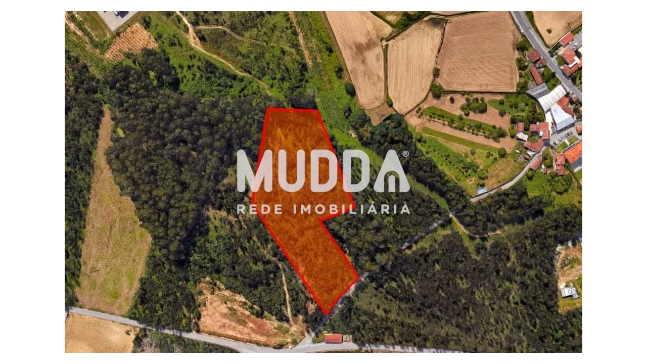 Terreno para Venda em Ovar, São João, Arada e São Vicente de Pereira Jusã Foto 1