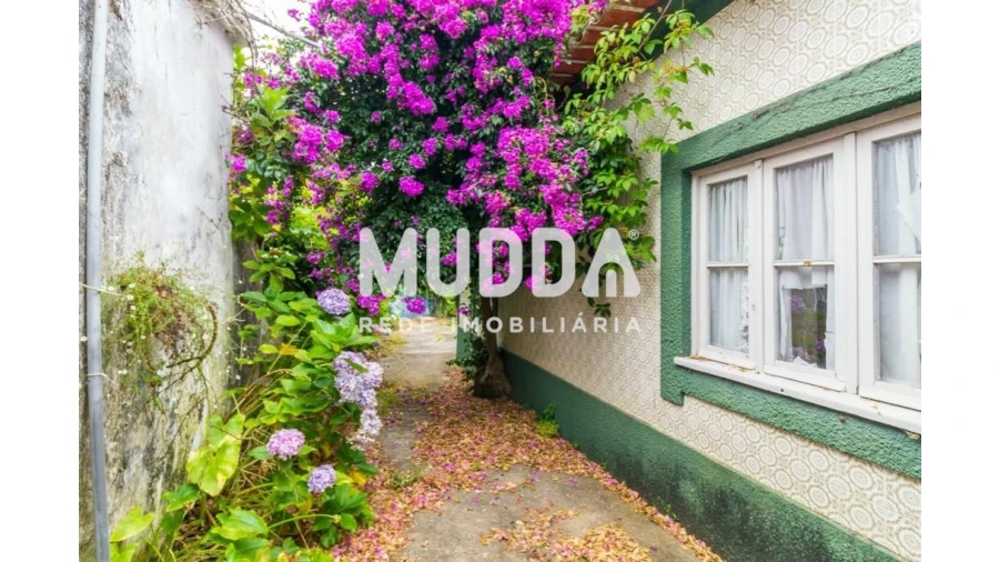 Moradia T4 para Venda em Maceda Foto 5